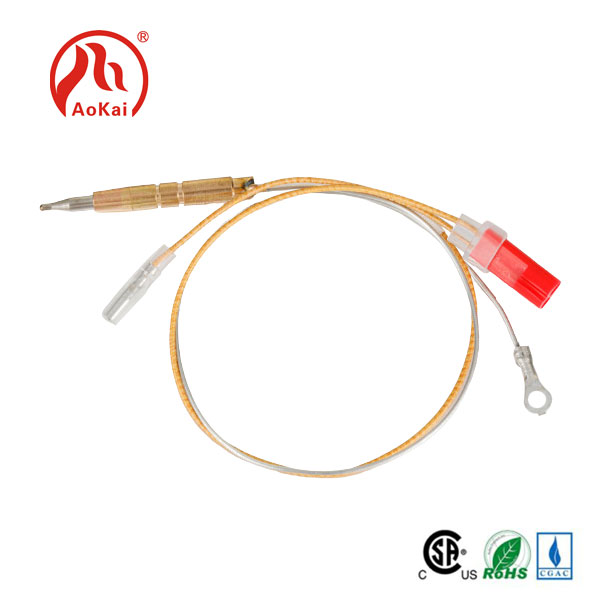 Thermocouple Cooking이 완벽한 결과에 필수적인 이유는 무엇입니까?